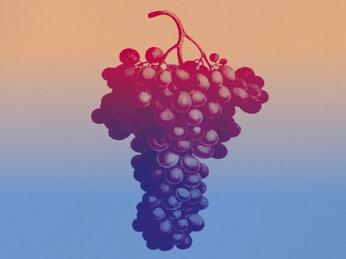 Fête des vendanges de Candie