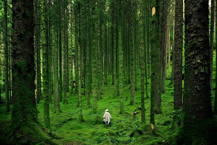 Foudroyantes, Photo : Foudroyantes · OpenAgenda