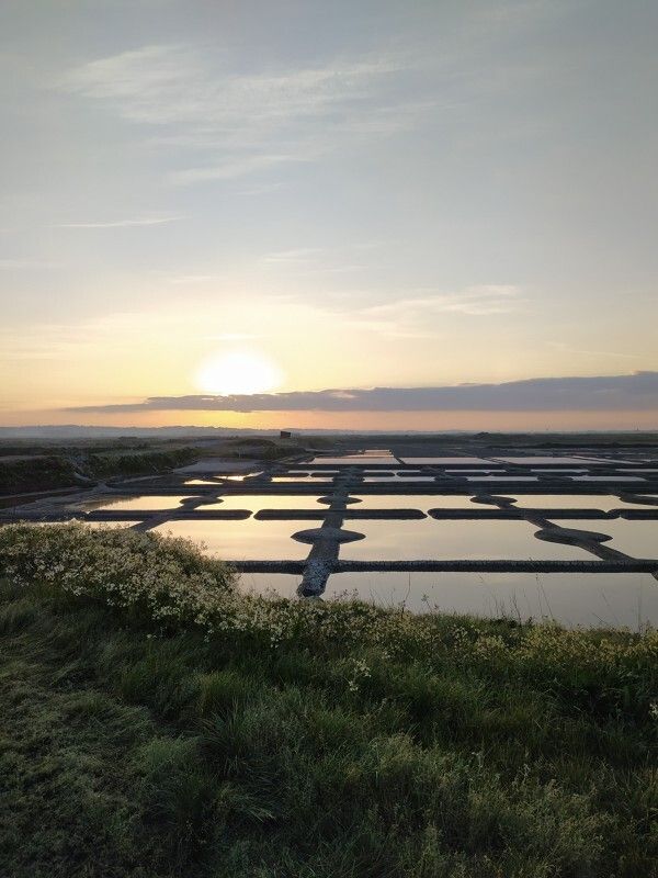 Visitez nos entreprises - "Fleur de sel" à Terre de Sel