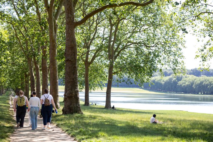 Versailles, cité-jardin (randonnée-conférence)