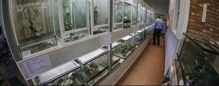 L'AQUAVIVARIUM