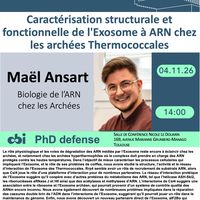 PhD Maël Ansart - Caractérisation structurale et fonctionnelle de l'Exosome à ARN chez les archées Thermococcales