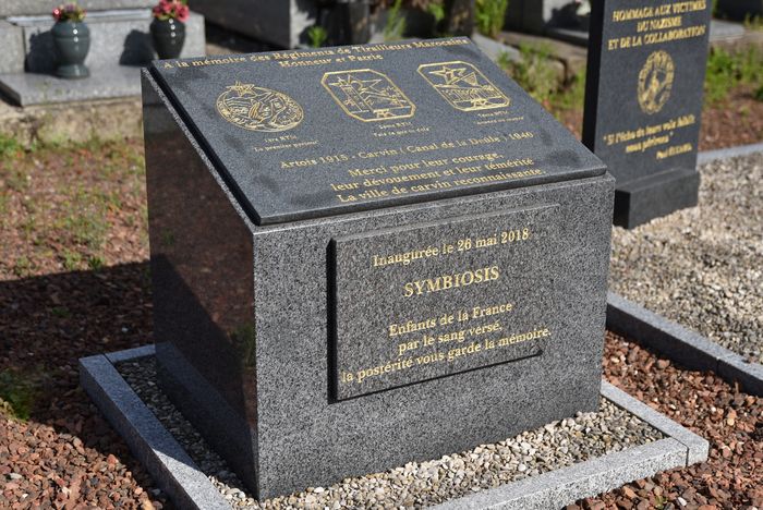 Défilé en l'honneur du souvenir des Anciens combattants Marocains des deux guerres Mondiales