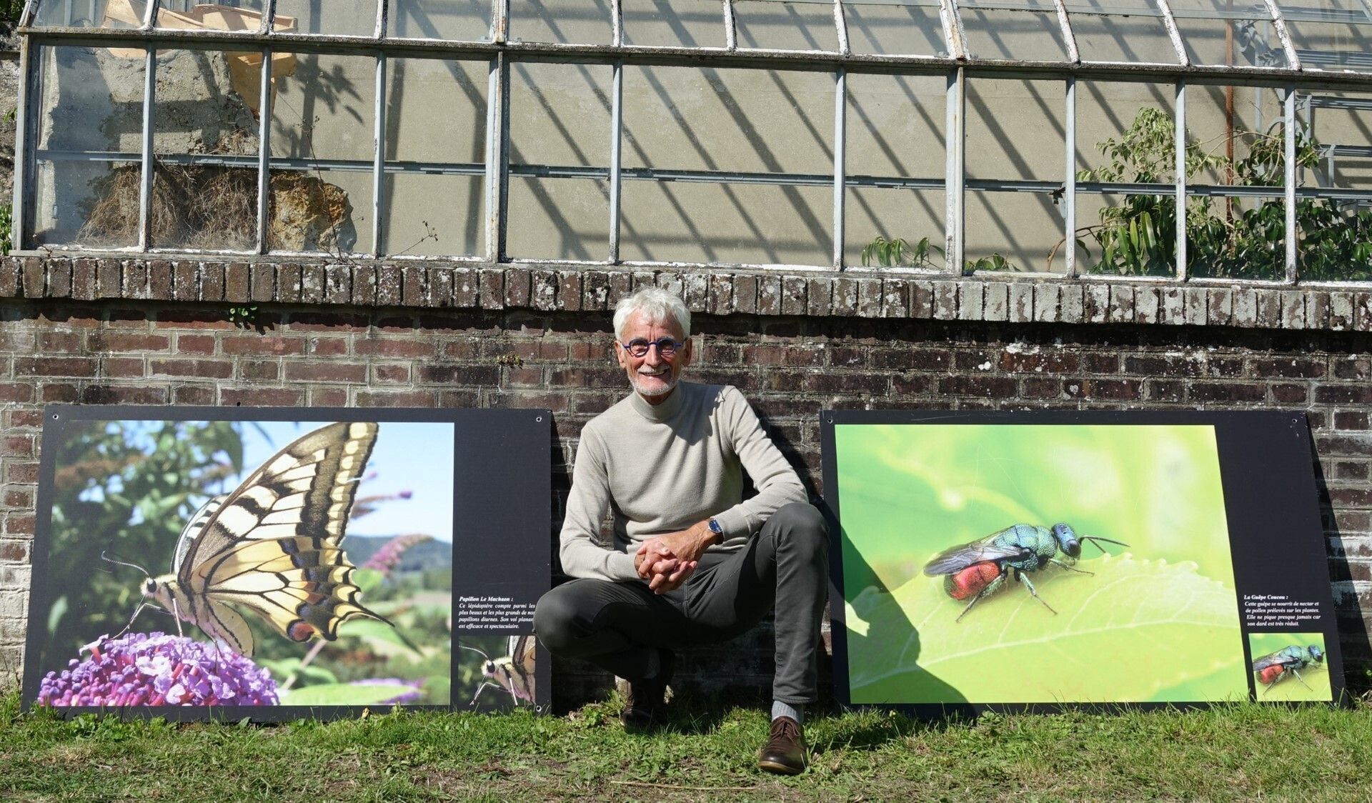 Balades poétiques sur les insectes
