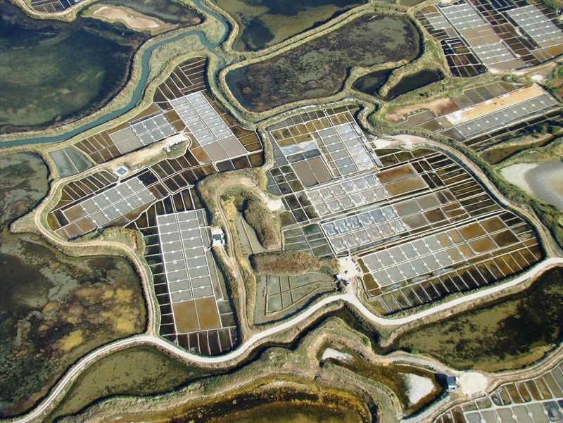 Conférence : L'interaction des énergies humaines et animales dans les marais salants