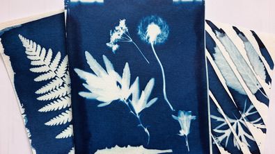 Atelier créatif botanique en plein air : initiation au cyanotype