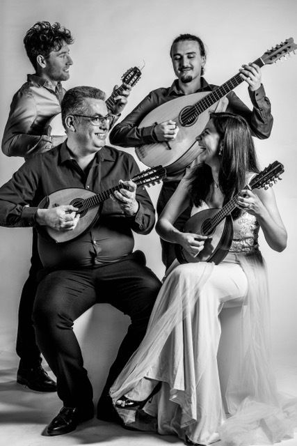 Mandolines et Guitares