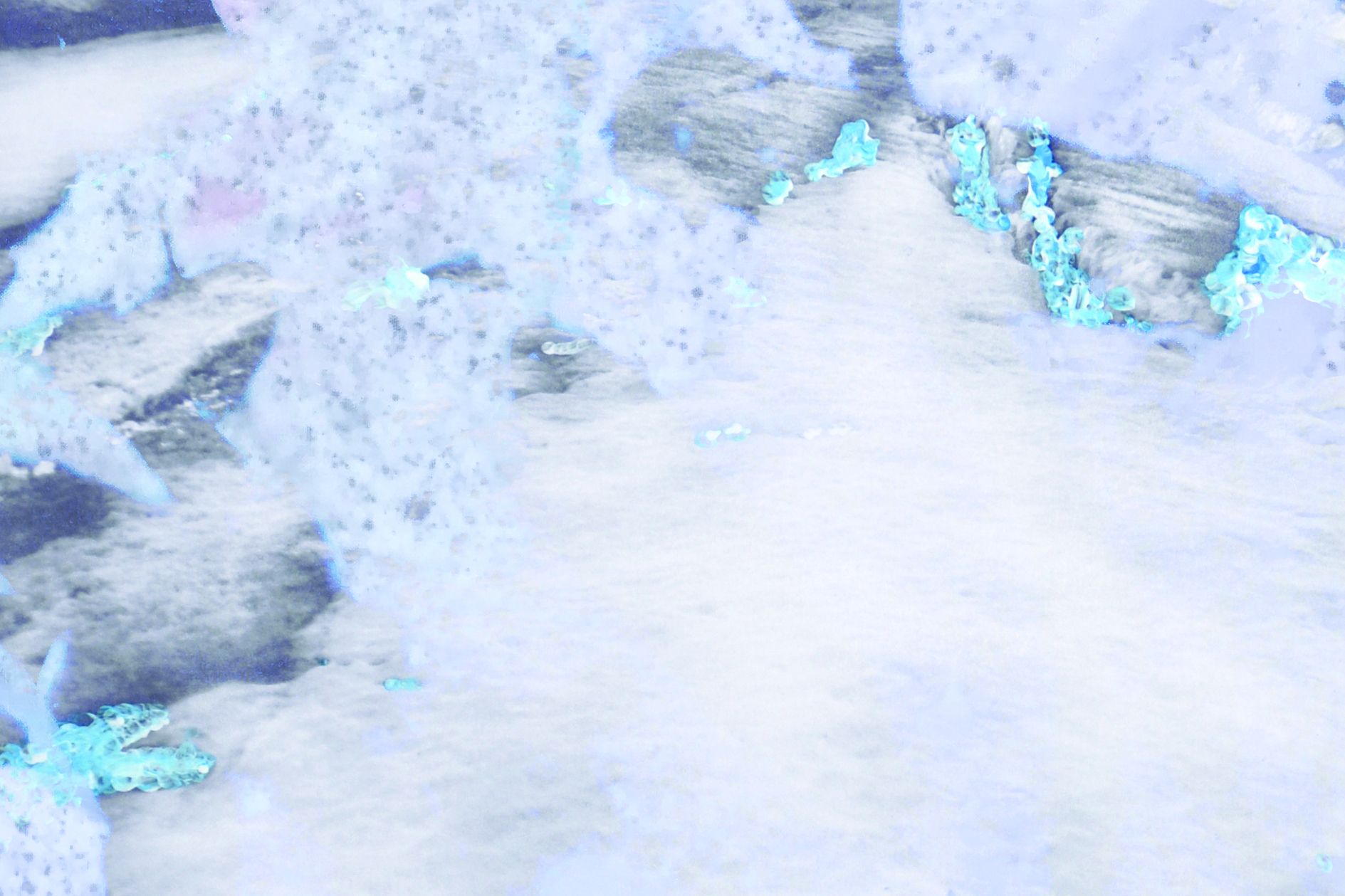 Atelier "Doux flocons" par Loona Sire à Bonus
