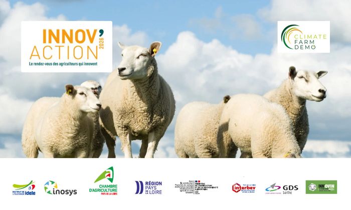 INNOV'ACTION - Rencontre régionale ovine (72)