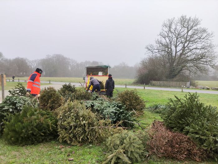 Collecte et broyage de sapins et coquilles d'huîtres