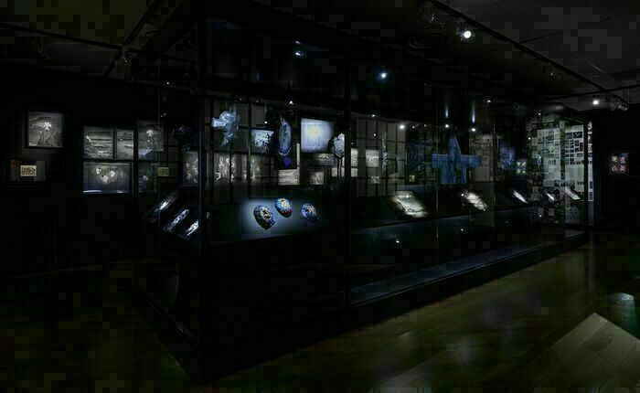 Visite des expositions du Nouveau Printemps
