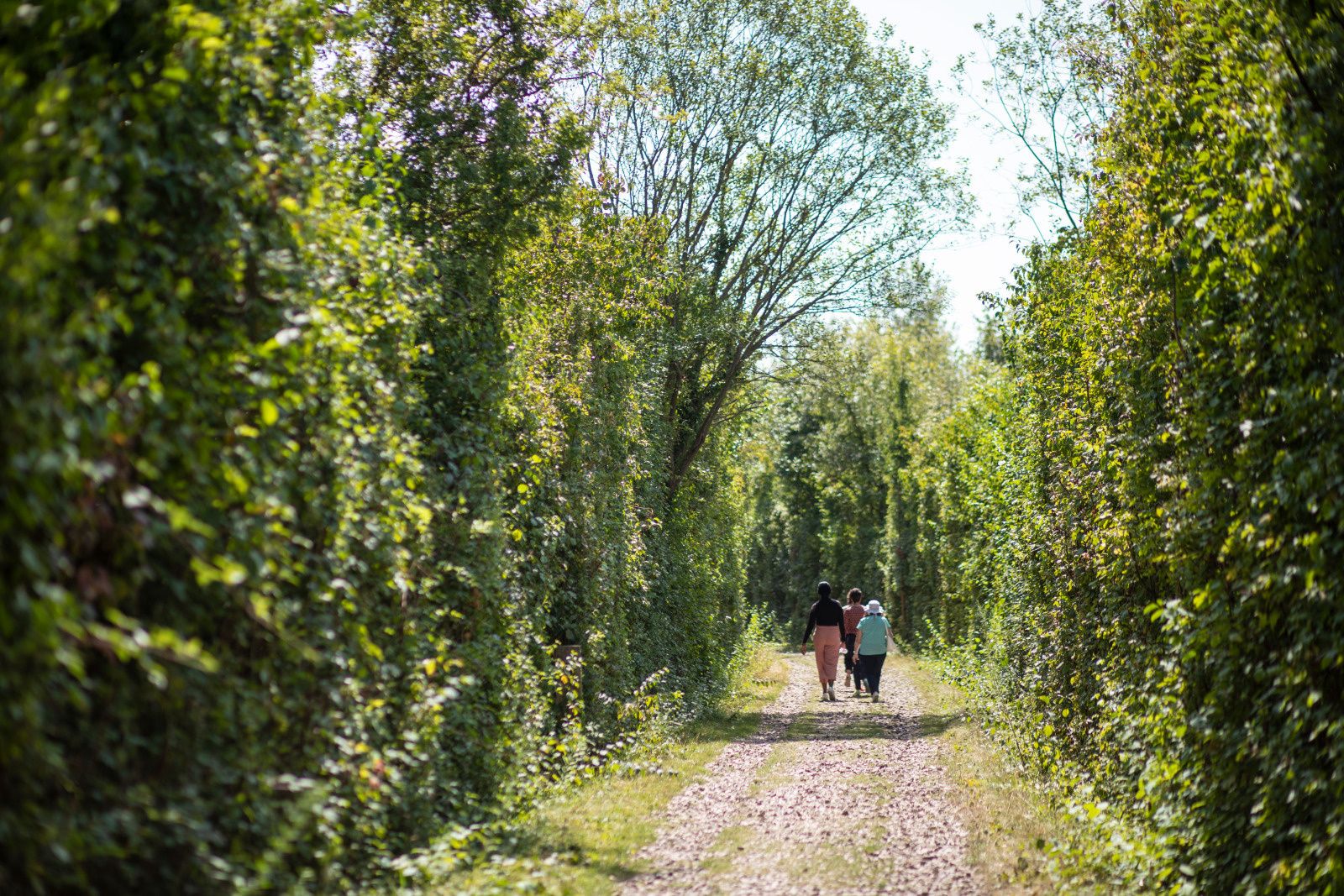 Balade Botaniste au parc de la Haute-Ile