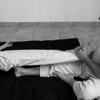 Stage Shiatsu-ostéo-thaï-yoga