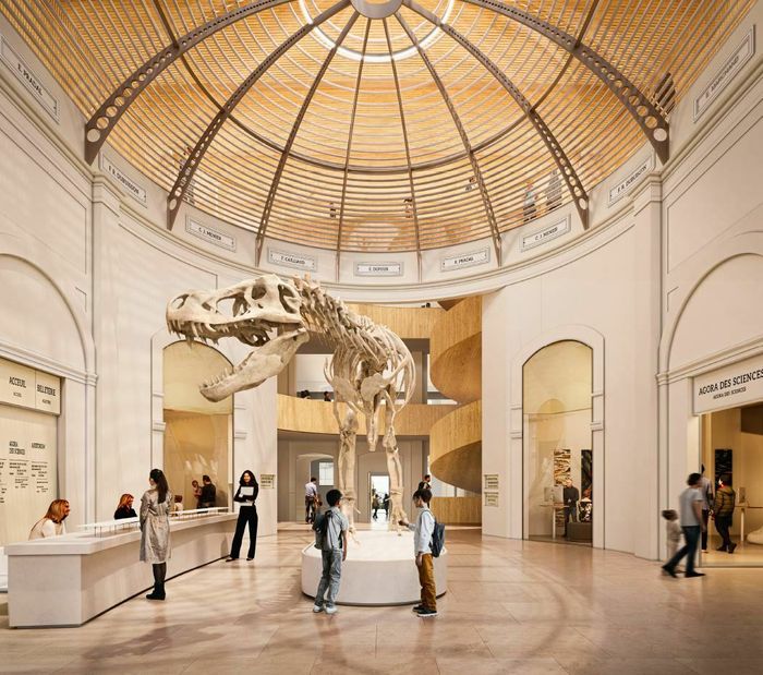 Le futur Muséum de la métropole