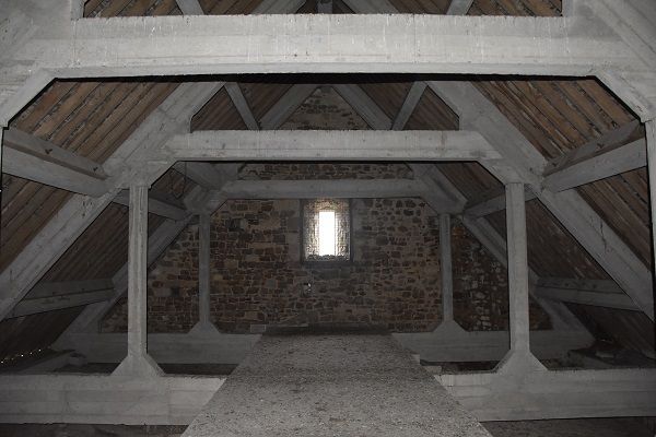 Visite architecturale "Entrez dans les coulisses : une visite exceptionnelle de la charpente en béton armé !"