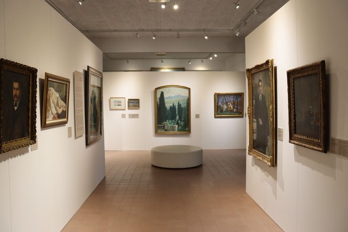 Visite des collections à la "bougie"