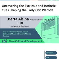 Uncovering the Extrinsic and Intrinsic Cues Shaping the Early Otic Placode