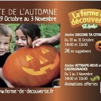 Fête de l'automne - Atelier Attrapes-rêves