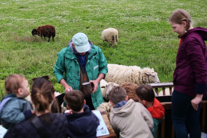 La ferme s’invite au quartier