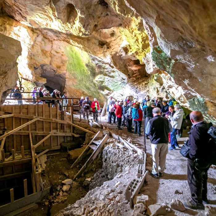 Visite guidée musée et grotte préhistorique