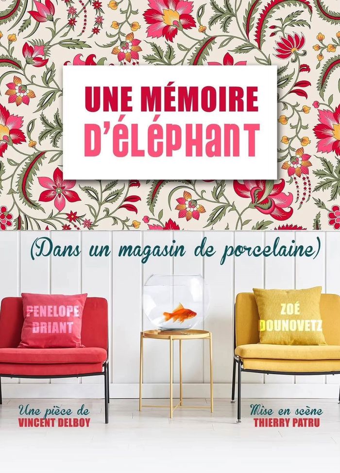 Comédie - "Une mémoire d'éléphant (dans un magasin de porcelaine)"