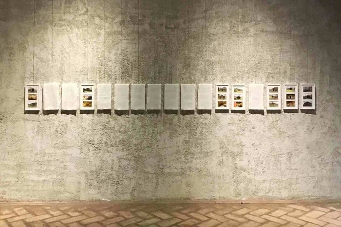 Exposition Asier Gogortza « Autopsies »