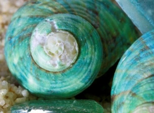 Venez parler chimie biosourcée et biomimétisme avec Thierry Benvegnu et Franck Artzner au bar La Reine de coeur le 15 mai à partir de 19h !