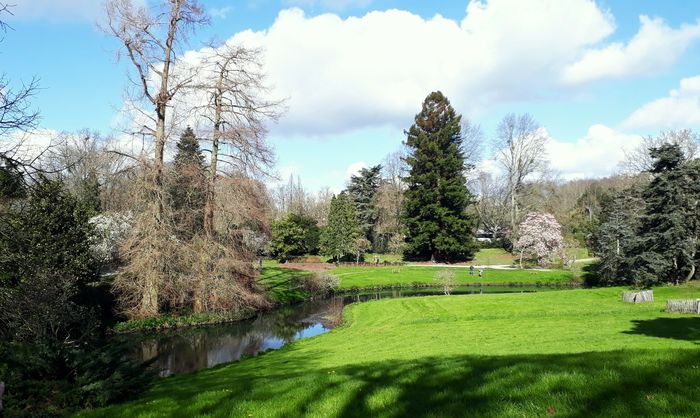 Trésors botaniques au Parc de la Beaujoire