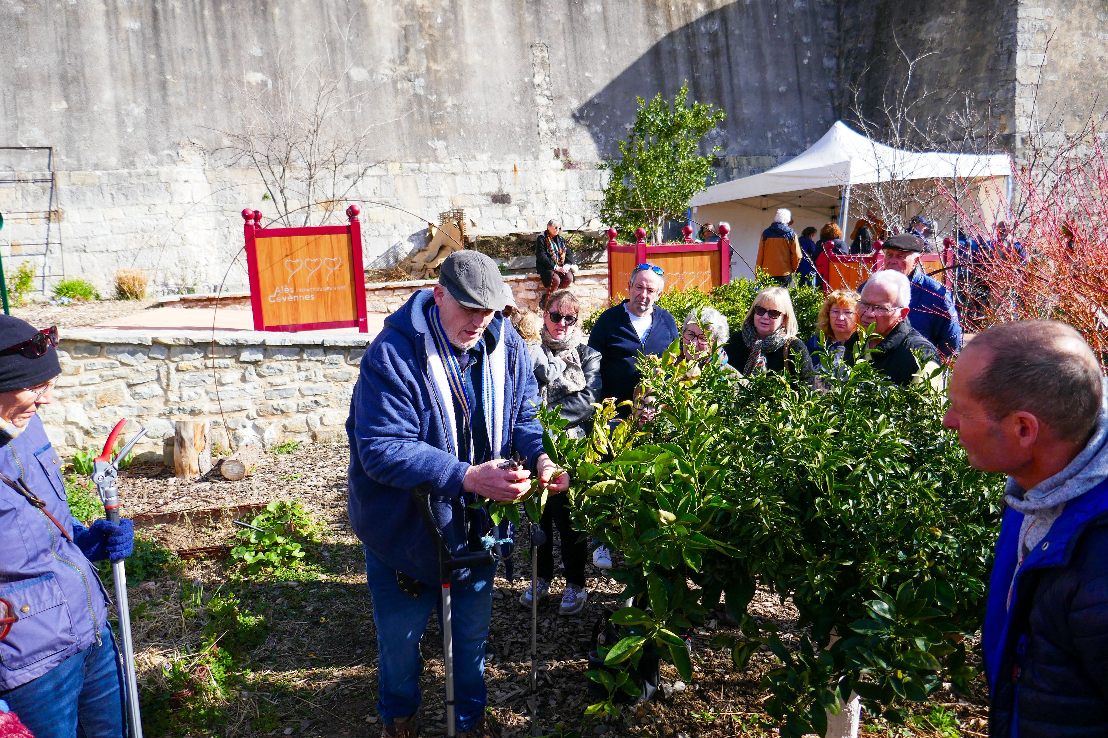 Atelier ‘‘La taille des arbres fruitiers’’