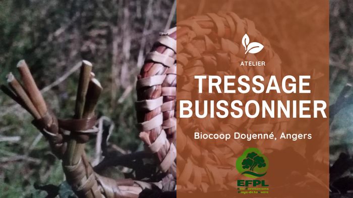 Tressage buissonnier