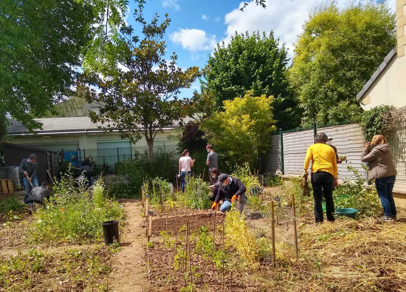 Atelier bouturage