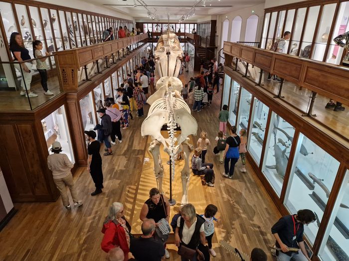 Nuit du VAN au Muséum