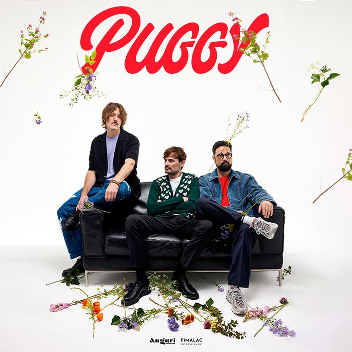 Puggy