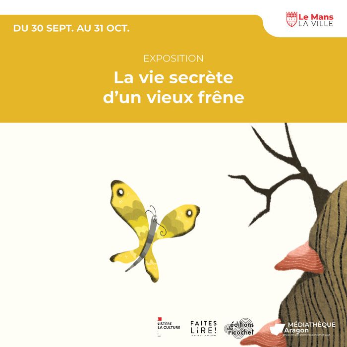 La vie secrète d’un vieux frêne