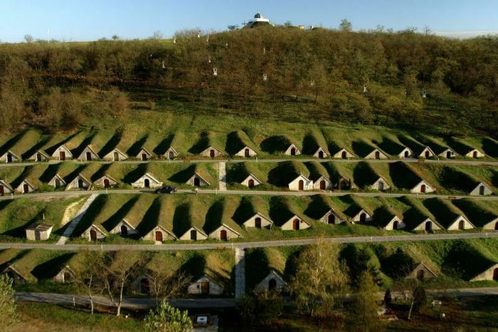 Tokaj, paysage culturel Unesco