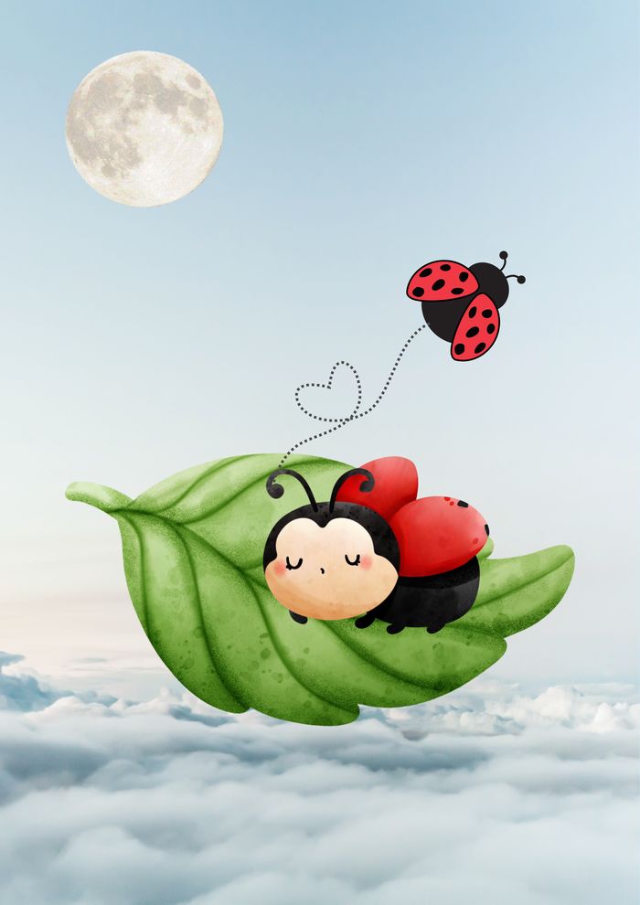 Coccinelle