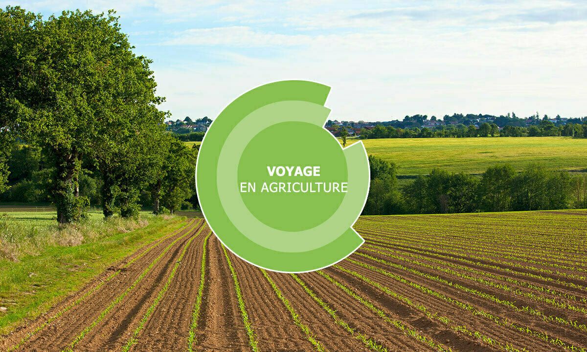 Voyage en agriculture - Elevage - Châteaubriant (44)