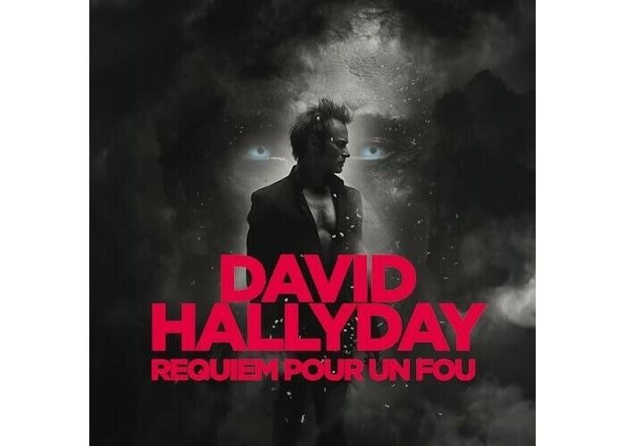 David Hallyday : Requiem pour un fou