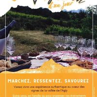 Vigneron d'un jour - Vino Enigma