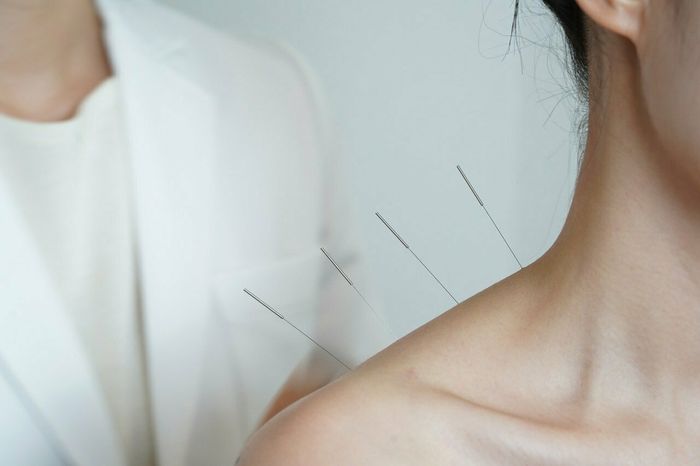 Médecines complémentaires et médecine intégrative : où en est-on en 2026 - Conférence par Julien NIZARD