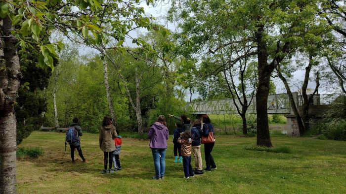 Les oiseaux des zones humides