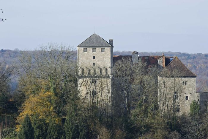 Visites guidées et animations historiques au château de Valleroy