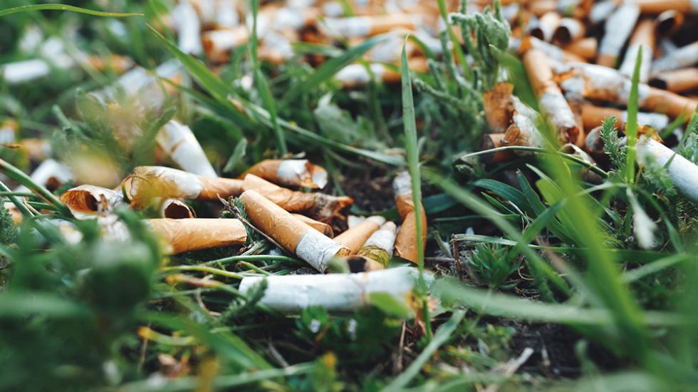 Surtout connue pour ses effets sur la santé, la consommation de tabac a également des conséquences particulièrement néfastes sur l’environnement et les droits humains.