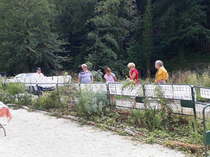 Exposition, exposé : "Le rôle de l'arbre dans la préservation de l'eau"