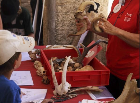 Patrimoine vivant : ateliers histoire, biodiversité et artisanat