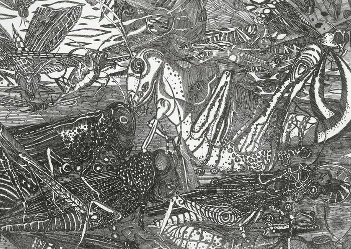 Exposition - Elke Daemmrich, 30 ans de gravure