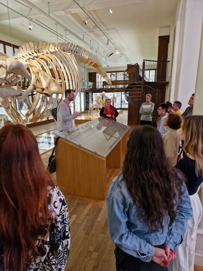 Déambulation dans le Muséum d'aujourd'hui et de demain