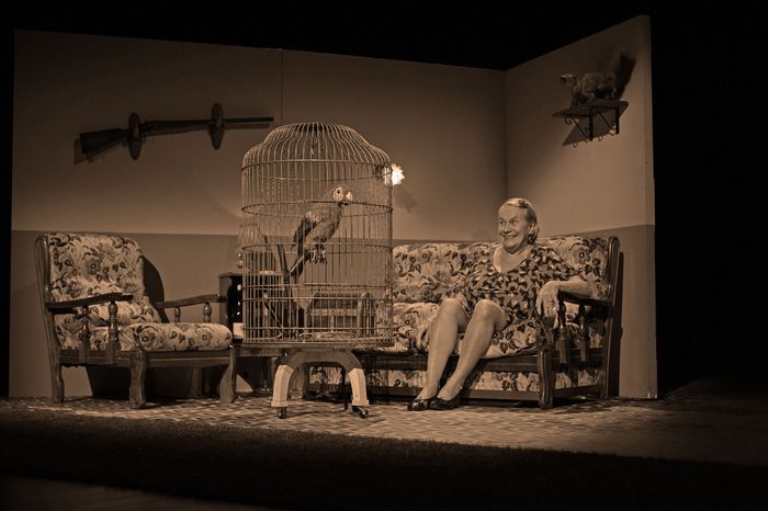 Stage de théâtre « L'art du burlesque »