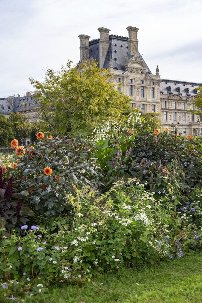 Promenade-découverte du jardin des Tuileries