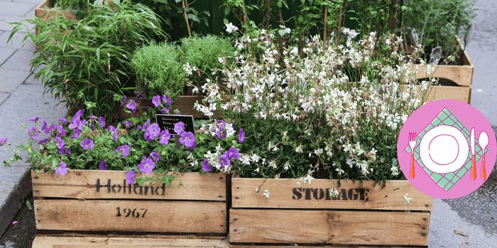 Auberge espagnole et création de jardinières